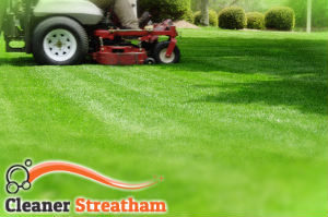 grass-cutting-streatham